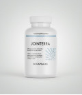 Jointerra